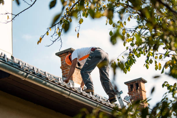 Emergency Roof Repair in Trent Woods, NC