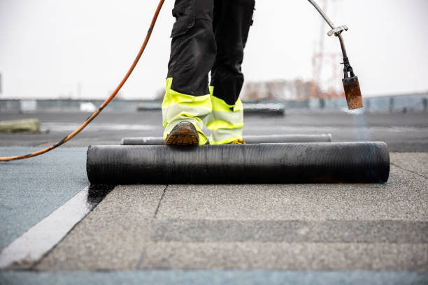 Best Solar Panel Roofing Installation  in Trent Woods, NC