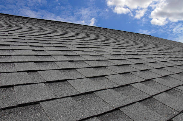 Best Gutter Installation and Repair  in Trent Woods, NC
