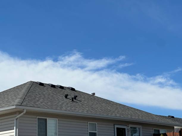 Best Cold Roofs  in Trent Woods, NC